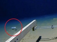 キモ可愛い？日本近海にて、8,336mというこれまでで最深の深さに棲む深海魚の映像が世界で初めて撮影された！