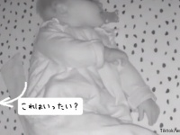 赤ちゃんが眠るベビーベッドに謎の動く物体が出現！