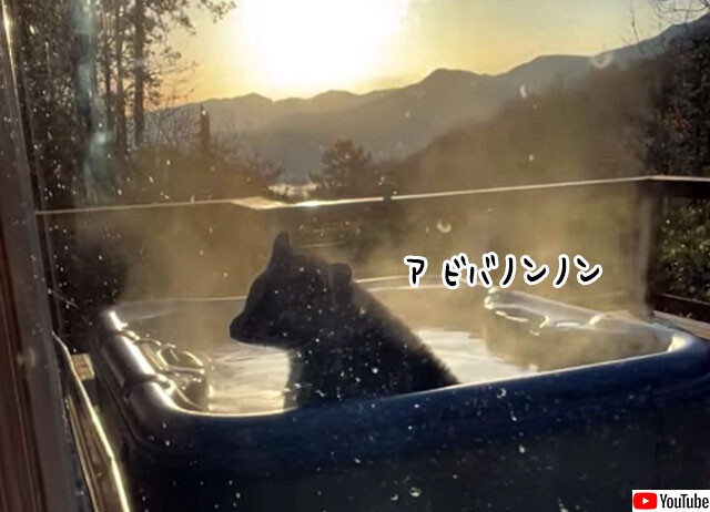 いい湯だな、アハハン。熊が民家のお風呂でリラックマ状態に