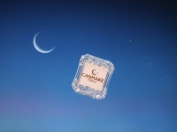 キャンメイクと劇場版「美少女戦士セーラームーンCosmos」コラボが決定！　月モチーフ限定パッケージ「シティライトアイズ」限定色も登場