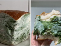 パンにもっさりカビが生えてる？いいえ違います。食べたらおいしい抹茶パンのビジュアルが話題に