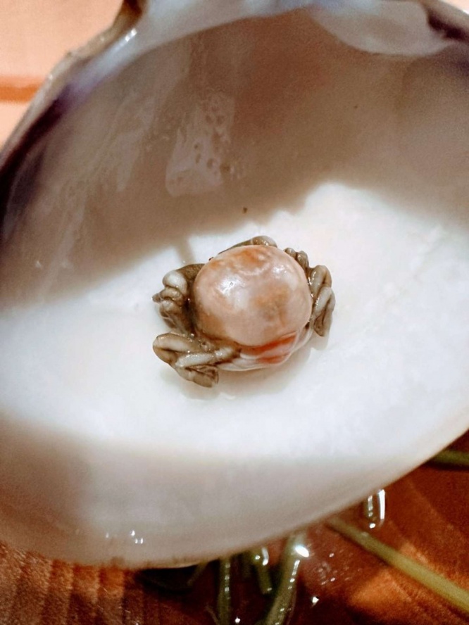 ちょっとびっくり（画像はゆかりちゃん＠yukaric03886076さんの投稿より、再掲）