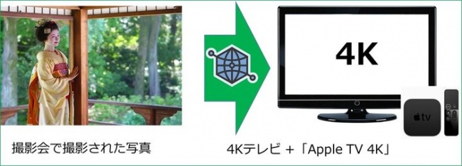 京都フラワーツーリズムのプレスリリース画像