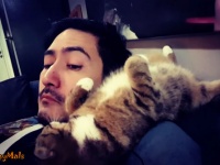 こいつ、さそってやがるぜ。誘い上手な猫たちの動画総集編