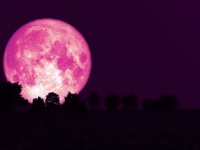 6月の満月「ストロベリームーン」はこの後すぐ！上半期最後の満月で気持ちをリセットしよう！