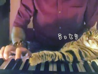 飼い主の弾くピアノと飼い主にうっとりの猫。ゴロゴロしながら連弾したりしなかったり