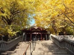 【男前の人力車]情報通だけが知る！　浅草観光のおすすめコース★中級編