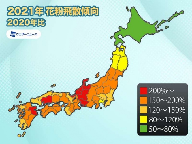 ⒞Dクリニック東京メンズ