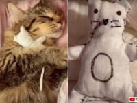 私の可愛い赤ちゃん！子供を失った母猫、飼い主さん手作りの人形に心を癒される