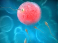 大気汚染は精子の質を低下させる？（depositphotos.com）