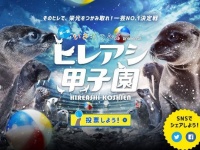 画像は「第一回ヒレアシ甲子園」ホームページより