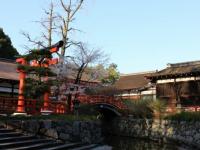 下鴨神社