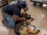 最高の相棒だった軍用犬と離れ離れになったハンドラー、犬の引退と同時に永遠の家族に