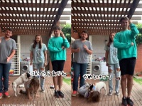 笑顔にしかなれない！犬が台無しにしてしまう家族ダンスチャレンジ