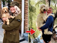 小型犬として飼った犬がいつのまにか大型サイズになっていた件（イギリス）