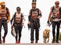 「受けた恩は忘れない」。1匹の野良犬との出会いが過酷なレースに挑んだチームの心を動かした感動の物語