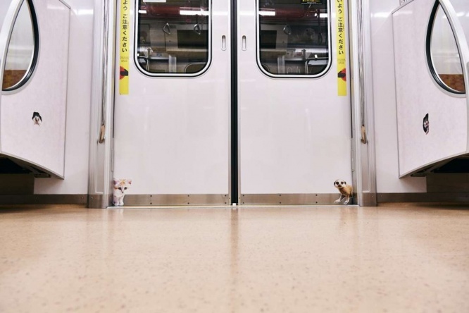 ん？こんなところにも...？（画像はプレスリリースより）