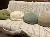 吸いたい...？（写真はだいふくさんのツイートより）
