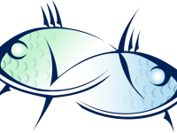 うお座の金運は？