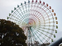 大阪府枚方市にある「ひらかたパーク」大観覧車（Japan Maikさん撮影、Wikimedia Commons