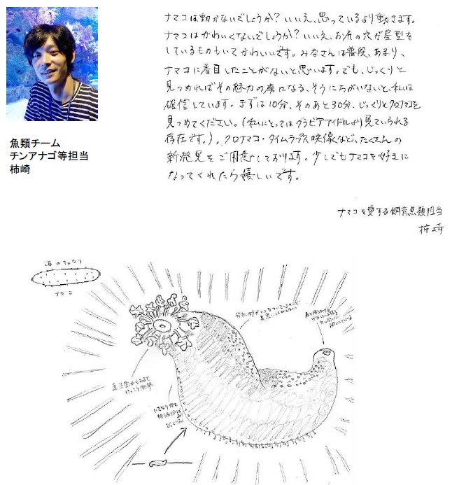 柿崎