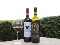 株式会社 Vino Hayashiのプレスリリース画像