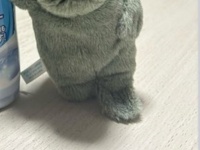 夫に買い物を頼んだら...届いた〝報告LINE〟に12万人笑う　「ドヤァ！」「新車買ったやつの態度」