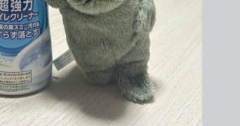夫に買い物を頼んだら...届いた〝報告LINE〟に12万人笑う　「ドヤァ！」「新車買ったやつの態度」