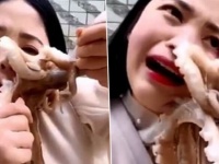 タコの踊り食いに挑戦した女性、タコの吸盤攻撃で顔面を負傷（中国）