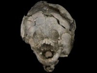 人間の子供の頭蓋骨で作られたヘルメットをかぶった状態で埋葬されていた古代の幼児（エクアドル）