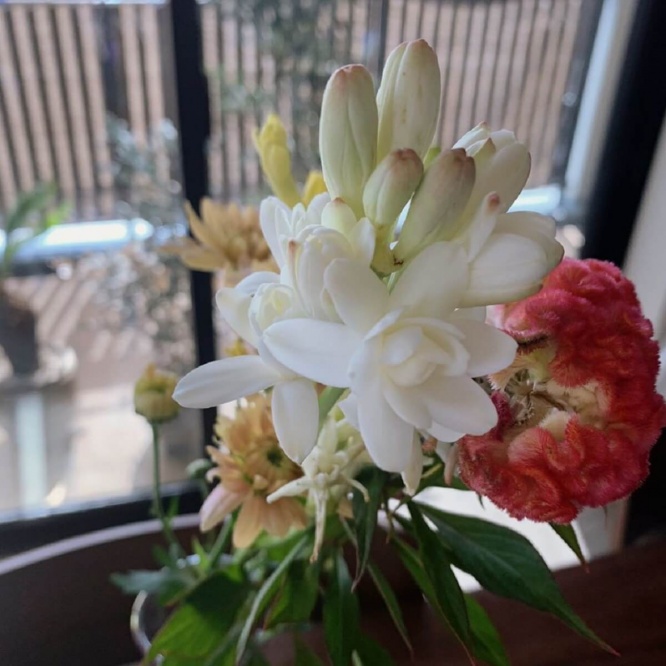 佐々木希 香りが良くて 自宅に飾った花の花言葉が意味深すぎ 1ページ目 デイリーニュースオンライン