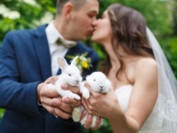 いいこと？　悪いこと？　「できちゃった婚」のカップルに思うこと・6つ