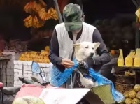 雨に濡れたら冷たかろう。誰よりも犬を愛するおじいさん。カッパを着せて帽子をかぶせて自転車でGO（フィリピン）
