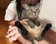 「この関係がずっと続いてほしい」　6歳少女の〝全力猫吸い〟と吸われ猫の〝受け入れ顔〟に5.1万人ほのぼの
