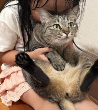「この関係がずっと続いてほしい」　6歳少女の〝全力猫吸い〟と吸われ猫の〝受け入れ顔〟に5.1万人ほのぼの