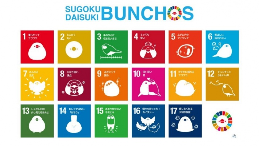 文鳥への愛はいつまでも「持続可能」です　誰一人取り残さずに幸せにしてくれそうな「SDBs」の17項目