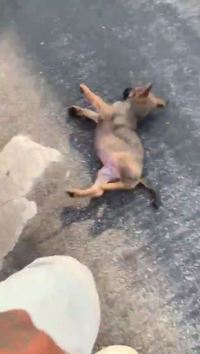 白人女性が黒人男性に暴言