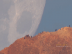 NASAが公開した巨大な月が高速で地球に迫ってくる動画が神秘的すぎて凄い