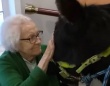 盲導ロバが高齢施設のお年寄りたちに喜びをもたらす