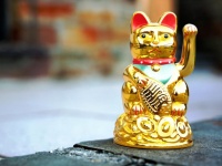 家にはこんなのばかり？