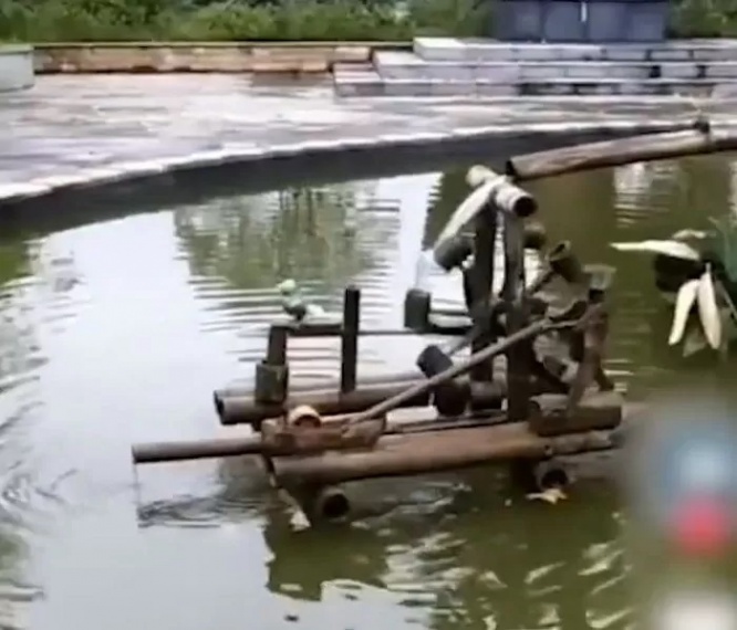 中国　中学生のいじめ