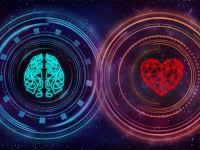 脳に「意識の門」を発見したと主張する科学者、重要な情報とそうでないものを取捨選択