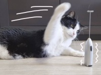 保護猫プーシクくん「せっかくいい香りを楽しんでいたのに！」カプチーノを台無しにしたフロッサーに怒りの鉄拳をお見舞いする