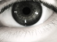 画像はイメージです