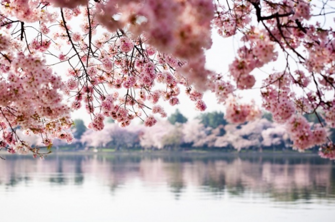 iStock_000019921392_Small