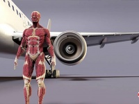 もし人間が飛行機のジェットエンジンに吸い込まれたらどうなるのか？CGシミュレーション動画