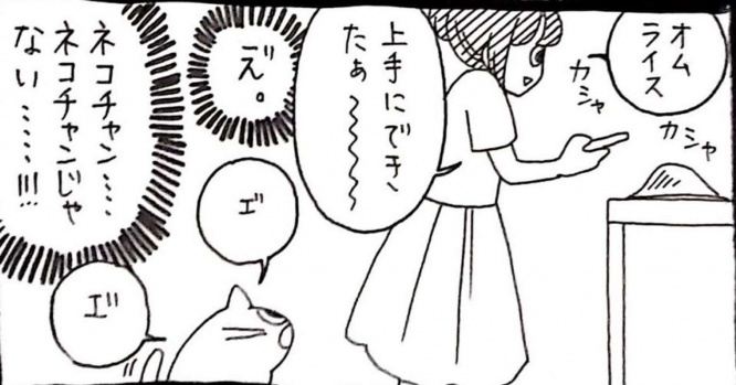 画像はうさぎのみみちゃん@usagitoseinoさんのツイートより