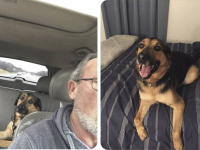 これはかわいすぎる。娘から愛犬の世話を頼まれたお父さん、犬になりきってキュートなメッセージを送信しまくる