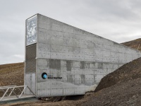 地球の未来がつまってる。再生の手段としてとらえる「植物の種」の接写画像