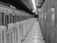 「何か」をズームアップした写真（はさみさんが撮影・トリミング）